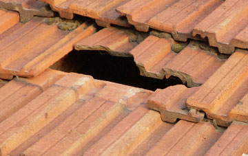 roof repair Dunge, Wiltshire